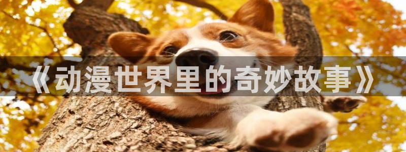 omofun动漫在线观看免费全集