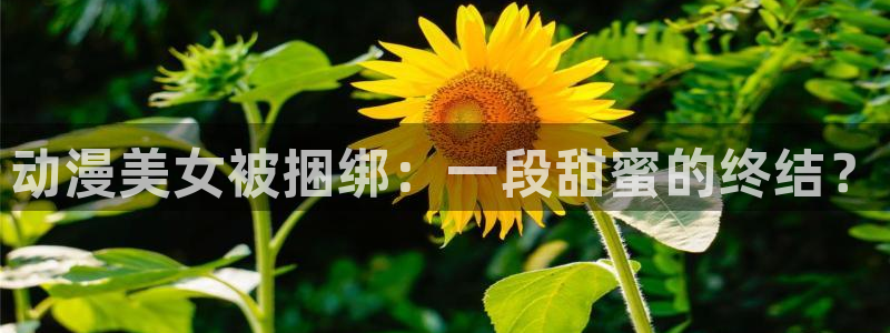 进入omofun官网