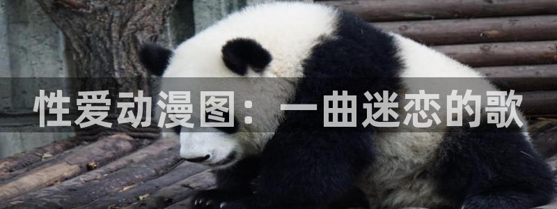 omofun动漫在哪下载