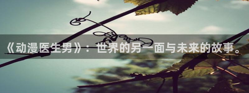 omofun最新官方下载