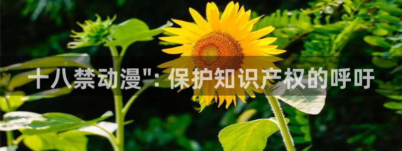 omofun动漫官方