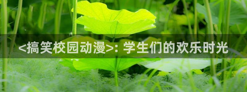 新版omofun下载