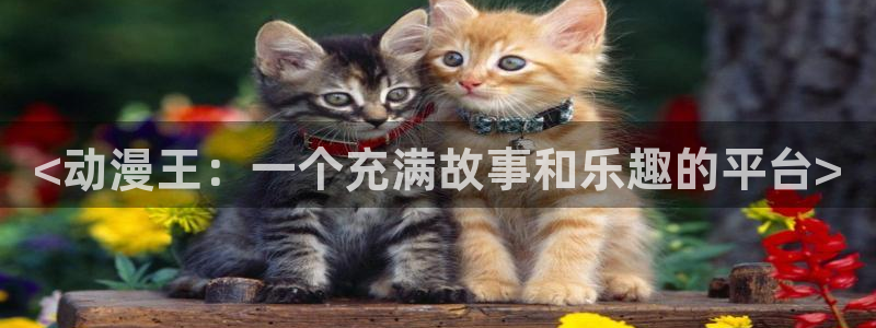 age动漫omofun