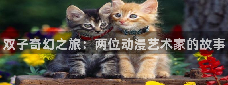 omofun官网最新版