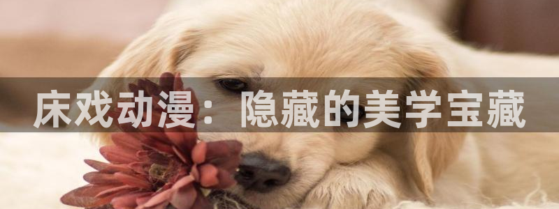 omofun动漫手机版