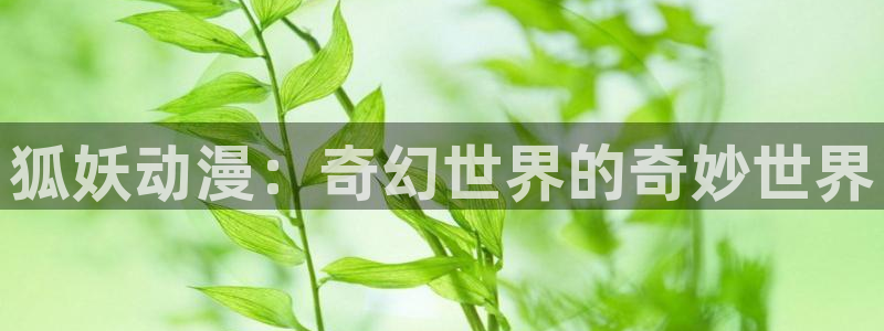 omofun官方网站