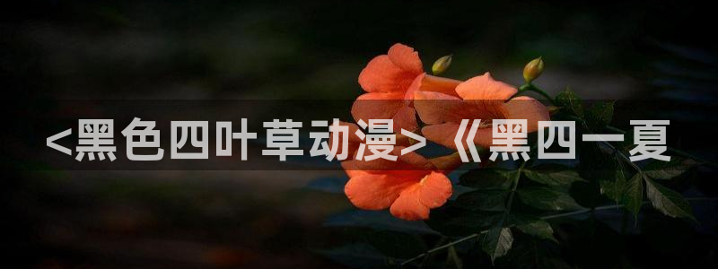 omofun(动漫共和国)：<黑色四叶草动漫> 《黑四一夏