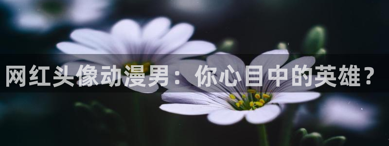 omofun动漫官网入口网址：网红头像动漫男：你心目中的英雄？