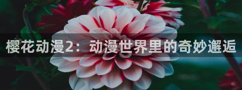 omofun. link