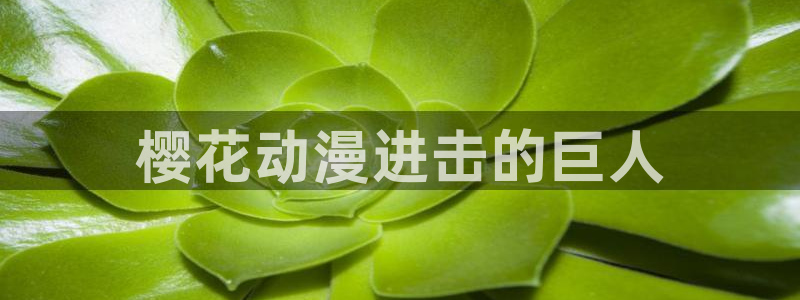omofun动漫共和国下载