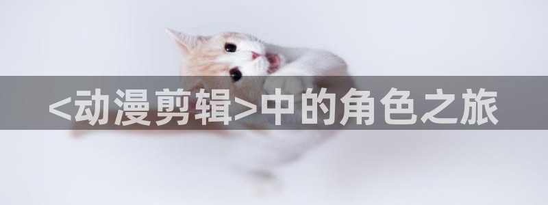 omofun 翻译