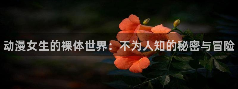 omofun纯净版无广告