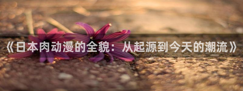 omofun弹幕网