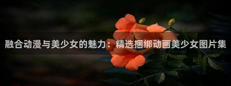omofun.动漫在线看：融合动漫与美少女的魅力：精选捆绑动画美少女图片集