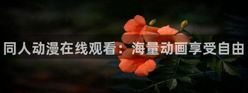 omofun网页版登录入口