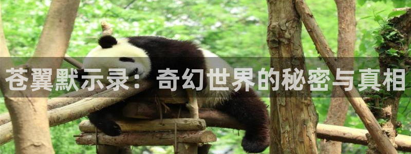 omofun 下载